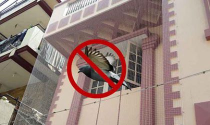 Pigeon Nets Dealers in Bangalore