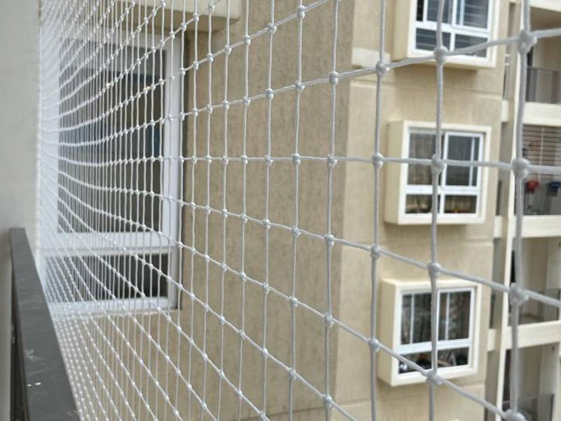 Anti Bird Netting Service, Call 9900706045