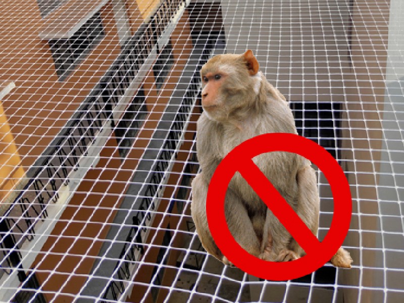 Monkey Safety Nets For Balconies in Bangalore