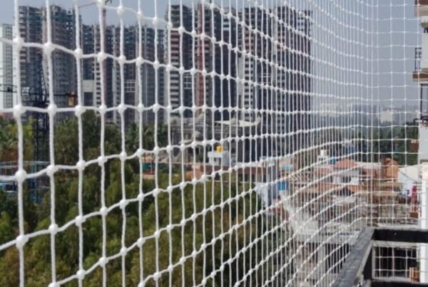 Keep Your Apartment Duct Area Pigeon-Free with Jeevan Enterprises